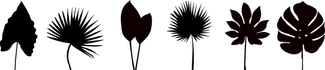 palm leaves black silhouette vector