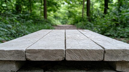 Fototapeta premium Wooden bench path forest nature walk outdoors