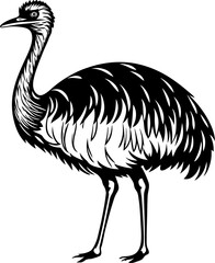 Emu Silhouette Illustration