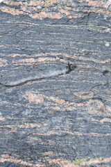 This is the  multi colored surface of the rock in nature.