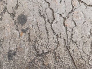 Stone texture 