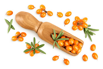 Sea buckthorn in wooden scoop. Fresh ripe berry with leaves isolated on white background. Top view. Flat lay
