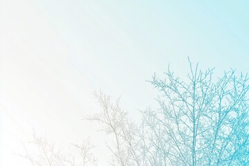 Obraz premium Winter Landscape Gradient: A snowy landscape with a sky transitioning from crisp white to pale blue, accented by snow-covered trees
