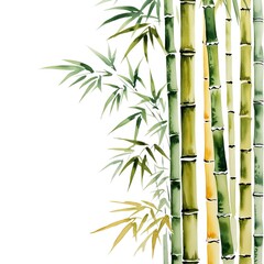 A serene watercolor illustration featuring tall bamboo stalks and delicate leaves, showcasing nature's beauty and tranquility.