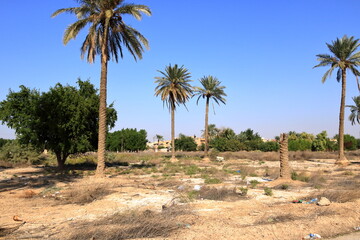 Ctesiphon near Baghdad, Bagdad, Iraq, area in opposite of the Ktesifon Palace or Tak-i Kisra - Taq...
