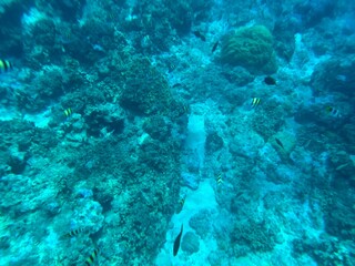 바다 아래 세상