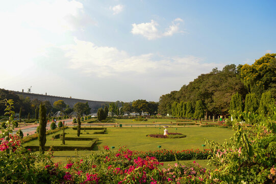 Brindavan garden near Mysuru, Karnataka, India. April 19, 2019. The garden is famous for its fountains. A tourist attraction behind KRS dam
