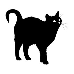 Schwarze Katzensilhouette, Neugierige Katze freigestellt.