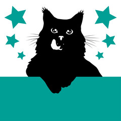 Katze mit Zunge, putzt sich. Katzensilhouette verspielt mit Sternen