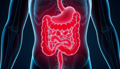 Pain in human intestines, bowel concept. Ghost light effect, x-ray hologram. 3D rendering , with white tonespng