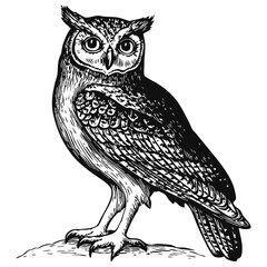 Naklejka premium Woodcut illustration of an owl. Vintage grunge vector design element for artworks, poster, cards, web and collages.