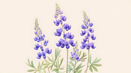 Naklejka premium Detailed Artwork of Wild Lupine Plant with Vibrant Purple Flowers