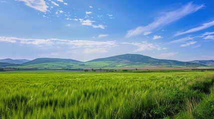 Obraz premium A beautiful green field with a majestic mountain, a clear river and a vast sky in the background. The idyllic and serene natural scenery creates a peaceful and charming atmosphere.
