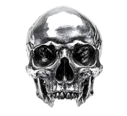 Detailed silver skull, memento mori concept.