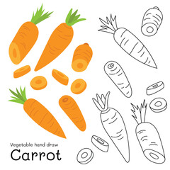 Carrot doodle vegetable hand drawn outline and colors for kid, Package, labels Design element. Vector illustration