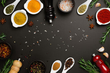 Set of various spices on black background. Pepper, paprika, basil, rosemary, chilly, cardamom, cinnamon, anise. Top view with copy space.