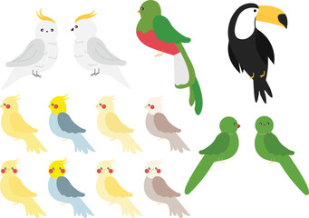 tropical birds collection