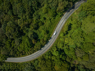 Car in rural road in deep rain forest with green tree forest view from above, Aerial view car in the forest on asphalt road background, Electric vehicle EV car drive asphalt road green tree forest