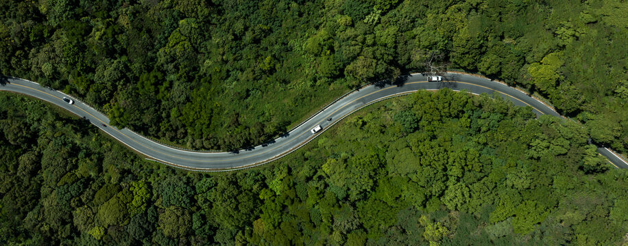 Car in rural road in deep rain forest with green tree forest view from above, Aerial view car in the forest on asphalt road background, Electric vehicle EV car drive asphalt road green tree forest