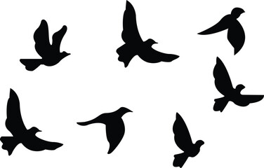 A group of silhouetted birds in scattered flight on a white background evokes a minimalist, serene freedom.