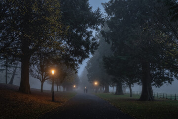 Silhouette of blurred people that walks in thick fog, on road surrounded by trees and illuminated by street lamps in Phoenix Park, Dublin, Ireland