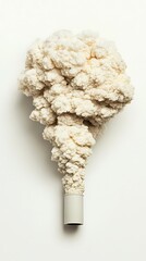 A stylized representation of smoke emerging from a pipe, resembling fluffy clouds, highlighting themes of pollution and creativity.