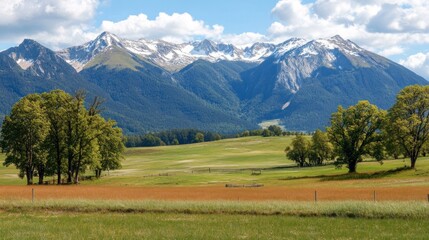 Obraz premium Majestic snowcapped mountains overlook a serene green valley