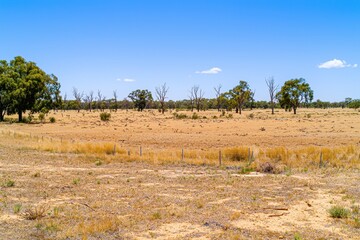 A severe drought affecting farmland, with cracked earth and wilted crops under a scorching sun.