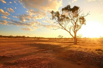 Obraz premium A severe drought affecting farmland, with cracked earth and wilted crops under a scorching sun.