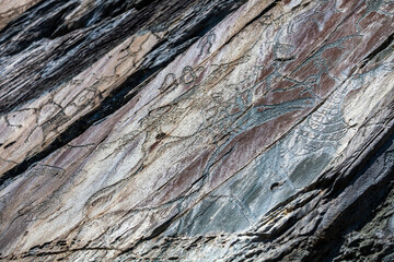 Petroglyph Tomsk pisanitsa. Tom River, Kemerovo region, Russia