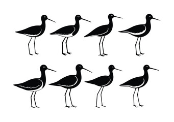 Silhouettes of Wading Birds Collection,shoebill,strok vector silhouette .marsh bird shadow illustration isolated on background