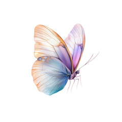 Fototapeta premium Colorful Butterfly with Delicate Wings on Black Background