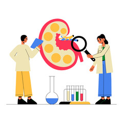 Male And Female Scientists Analyzing Kidney Health In Flat Vector Illustration Symbolizing Medical Research, Nephrology, And Healthcare, Isolated On White Background.
