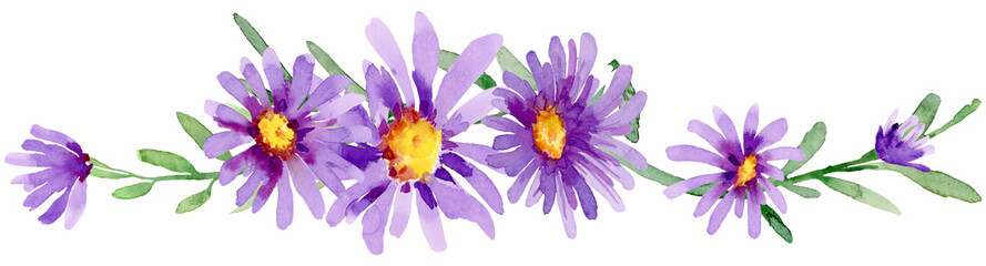 Purple daisy flower border frame wreath watercolor floral illustration hand painted