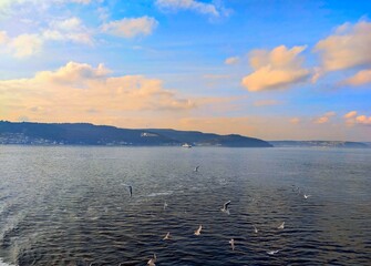 View of the sea, Dardanelles Strait, Gallipoli shores and flying seagulls from a ferry on a cloudy day.