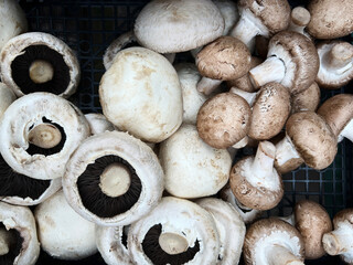 White Button and Chestnut Mushrooms
