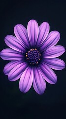 Obraz premium Delicate purple flower with intricate petal details