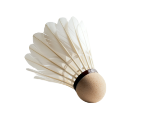 Shuttlecock isolated on white background
