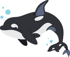 vector illustration of a dolphin
