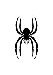 black spider silhouette on white background .
