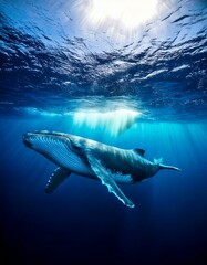 Fototapeta premium 海で泳ぐ野生の大きなクジラ