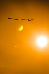 Four fighter jets flying against orange sunset sky