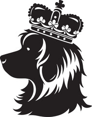 black and white dog head