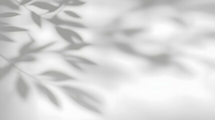 Obraz premium Subtly Captivating Abstract Composition of Organic Leaf Shadows Harmoniously Blending onto a Serene Minimalist White Wall Background with a Calming Soothing Ambiance