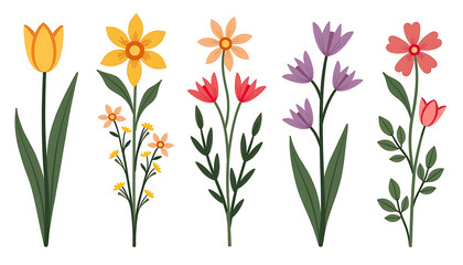 Whimsical and stylized illustration featuring 5 separate panels, each showcasing a different spring flower on a white background