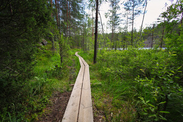 Hiking on Korpinkierros Trail in Nuuksio National Park - Finland