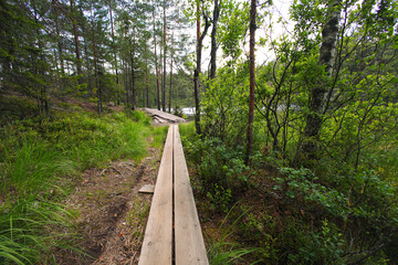 Hiking on Korpinkierros Trail in Nuuksio National Park - Finland
