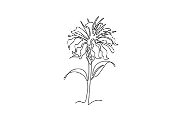 Continuous one line drawing beauty fresh bergamot monarda for home decoration wall art poster. Decorative bee balm flower concept for greeting card. Single line draw design vector graphic illustration