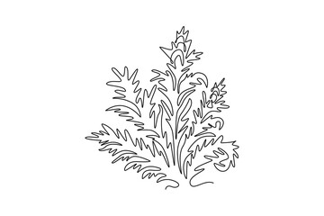 Fototapeta premium Continuous one line drawing beauty fresh bear's breeches for garden logo icon. Decorative acanthus flower concept for floral invitation card frame. Single line draw design vector graphic illustration