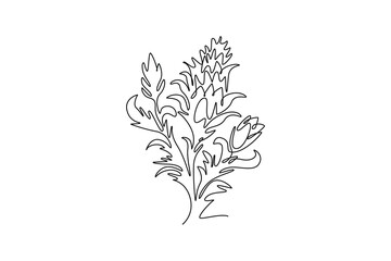 Single continuous line drawing beauty fresh bear's breeches for garden logo icon. Decorative acanthus flower concept for floral invitation card frame. One line draw graphic design vector illustration